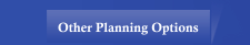Other Planning Options